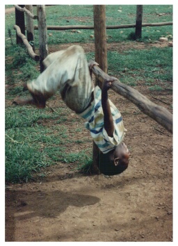 burundi1.JPG (51561 byte)