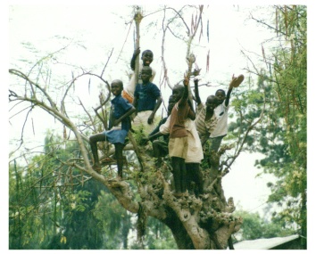 burundi13.JPG (56299 byte)