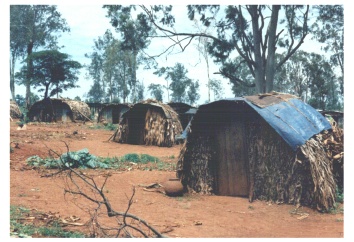 burundi5.JPG (53561 byte)