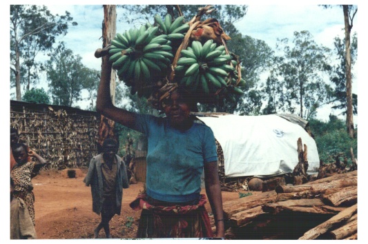 burundi6.JPG (103041 byte)