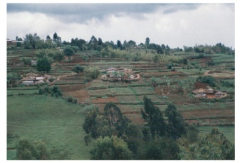 burundi8.JPG (36441 byte)