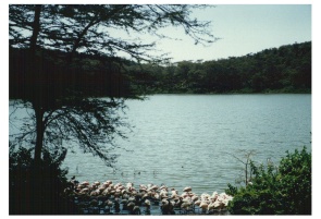 kenya10.JPG (31390 byte)