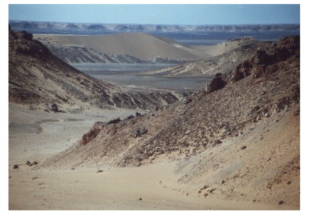 saharawi12.JPG (53393 byte)