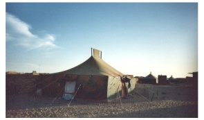 saharawi6.JPG (17532 byte)