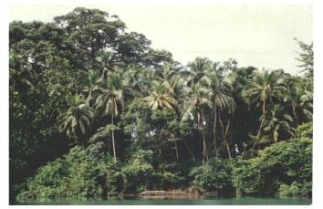sierra2.JPG (45272 byte)